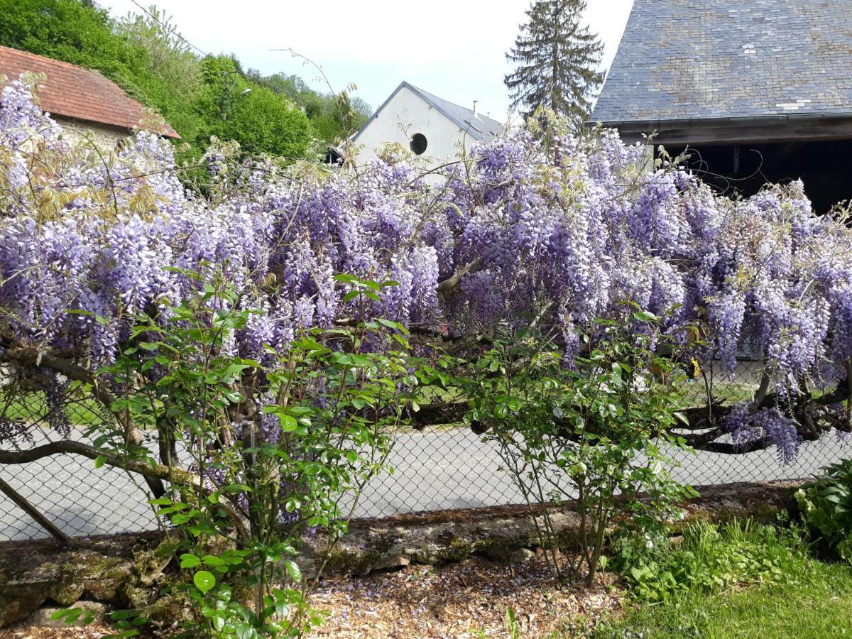 Village De Vie Saint-Vaury Zewnętrze zdjęcie